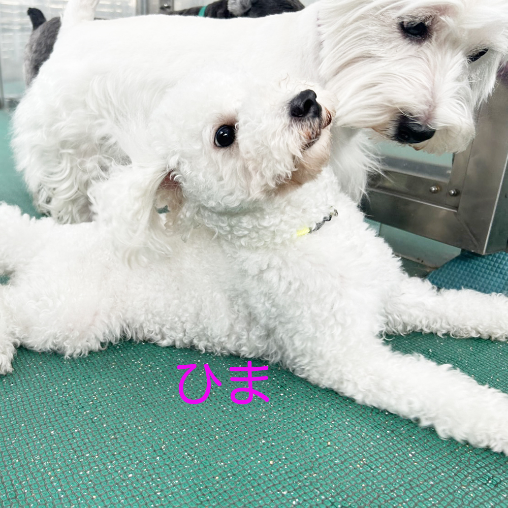 生徒が撮影してくれた写真☆